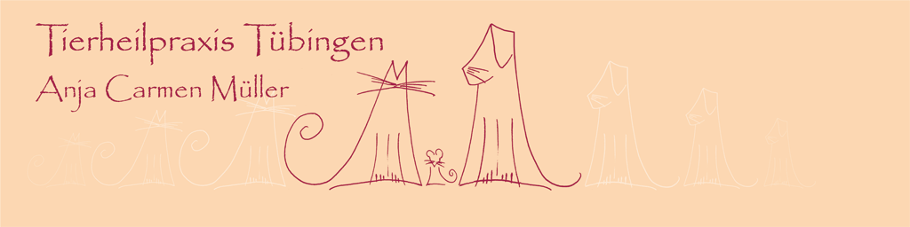 Tierheilpraxis-T&uuml;bingen